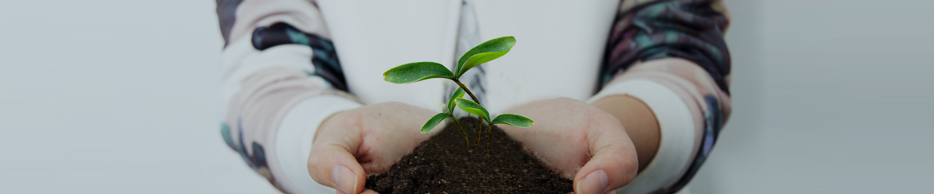 ��Ϣ����