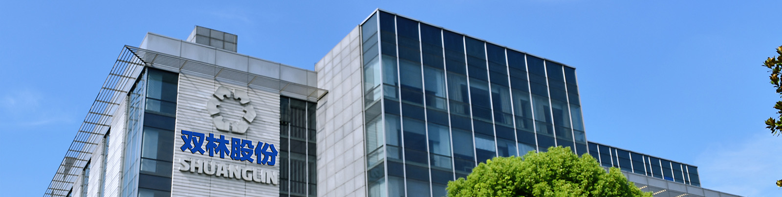 �߽�������ʱ